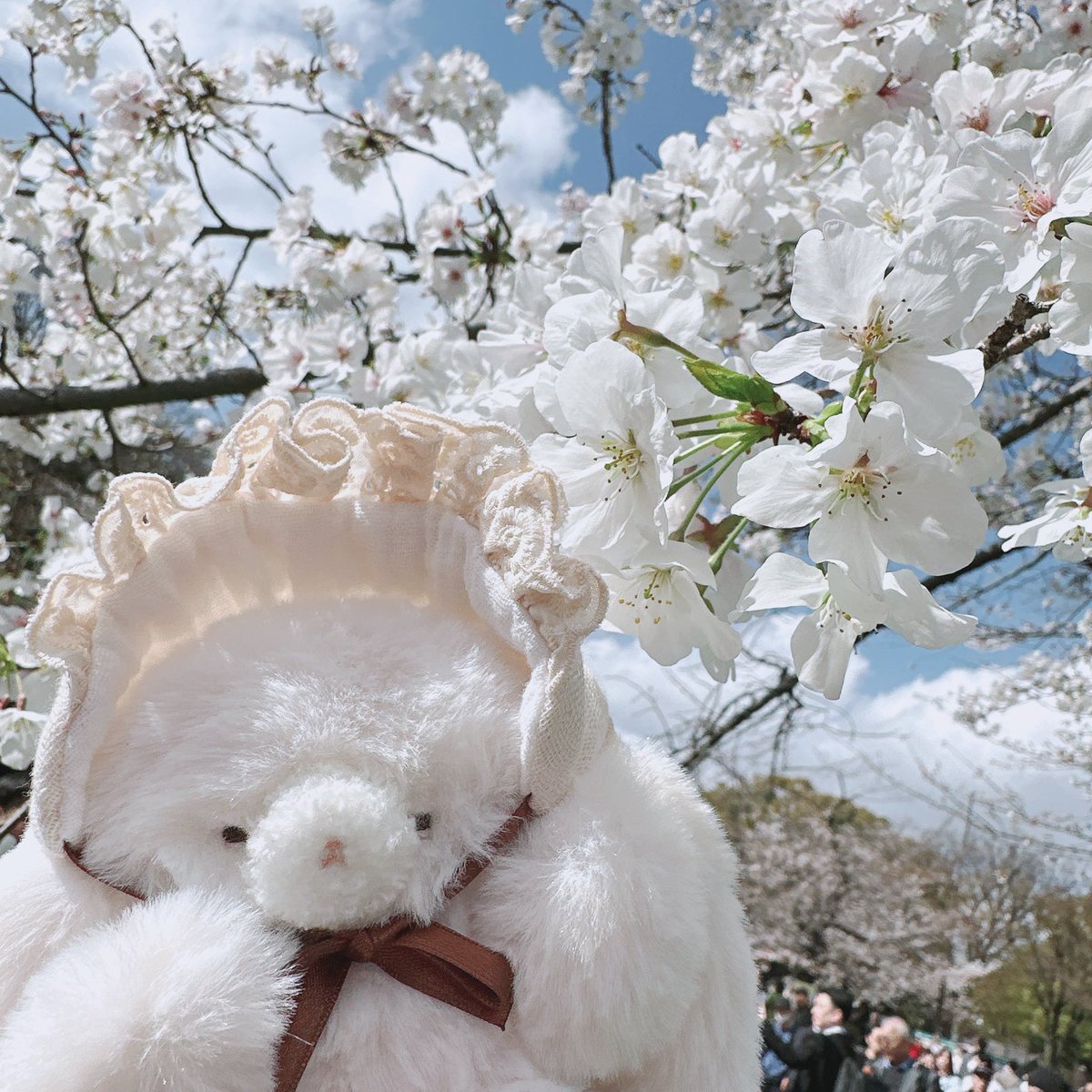 ゆちゃん tweet media