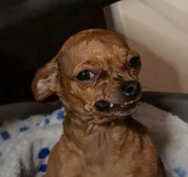 ZEXON🛠️ tweet media