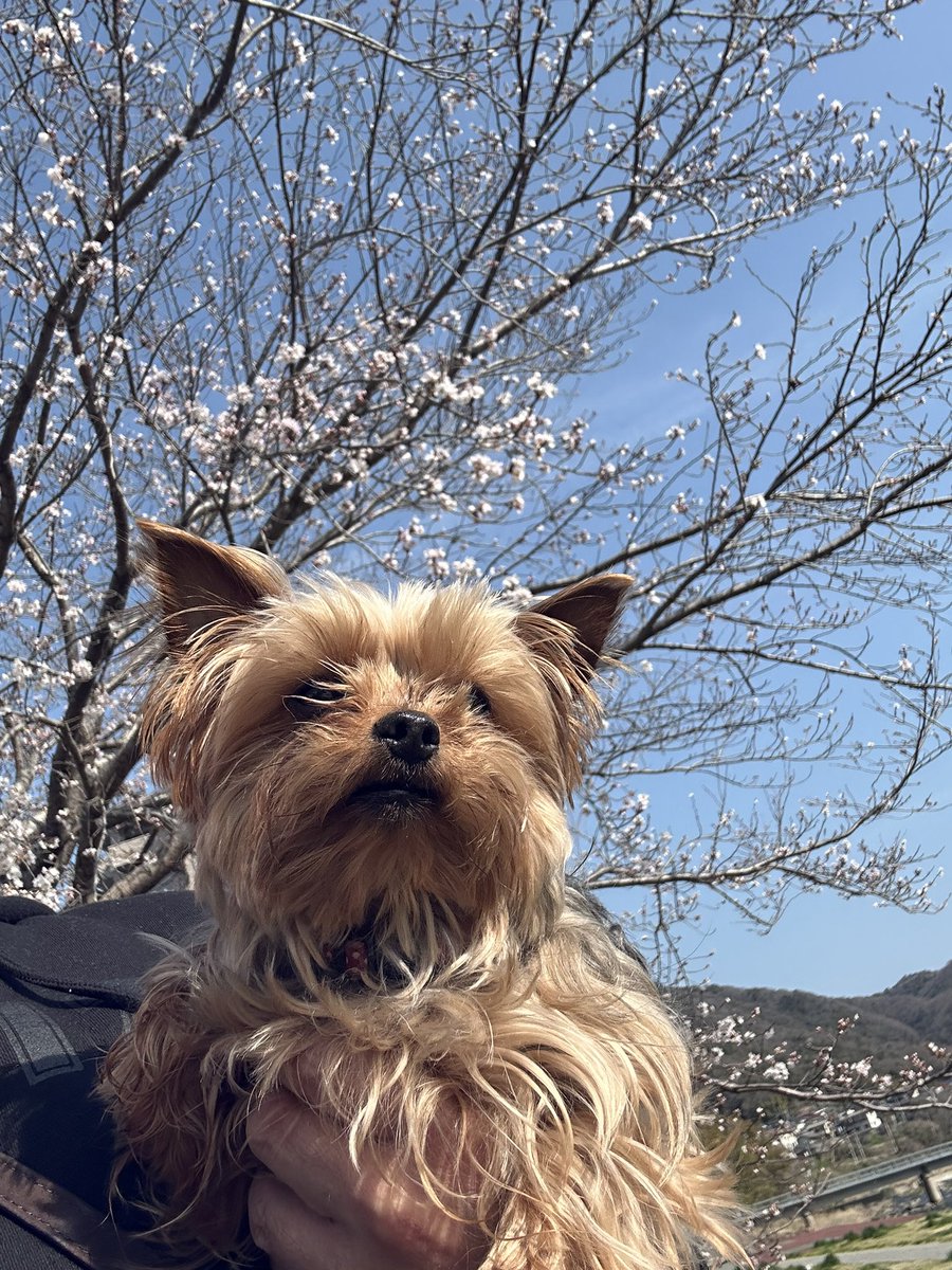 マリテン tweet media