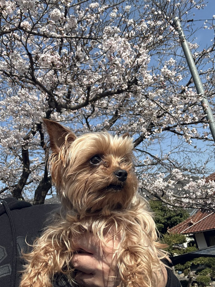 マリテン tweet media