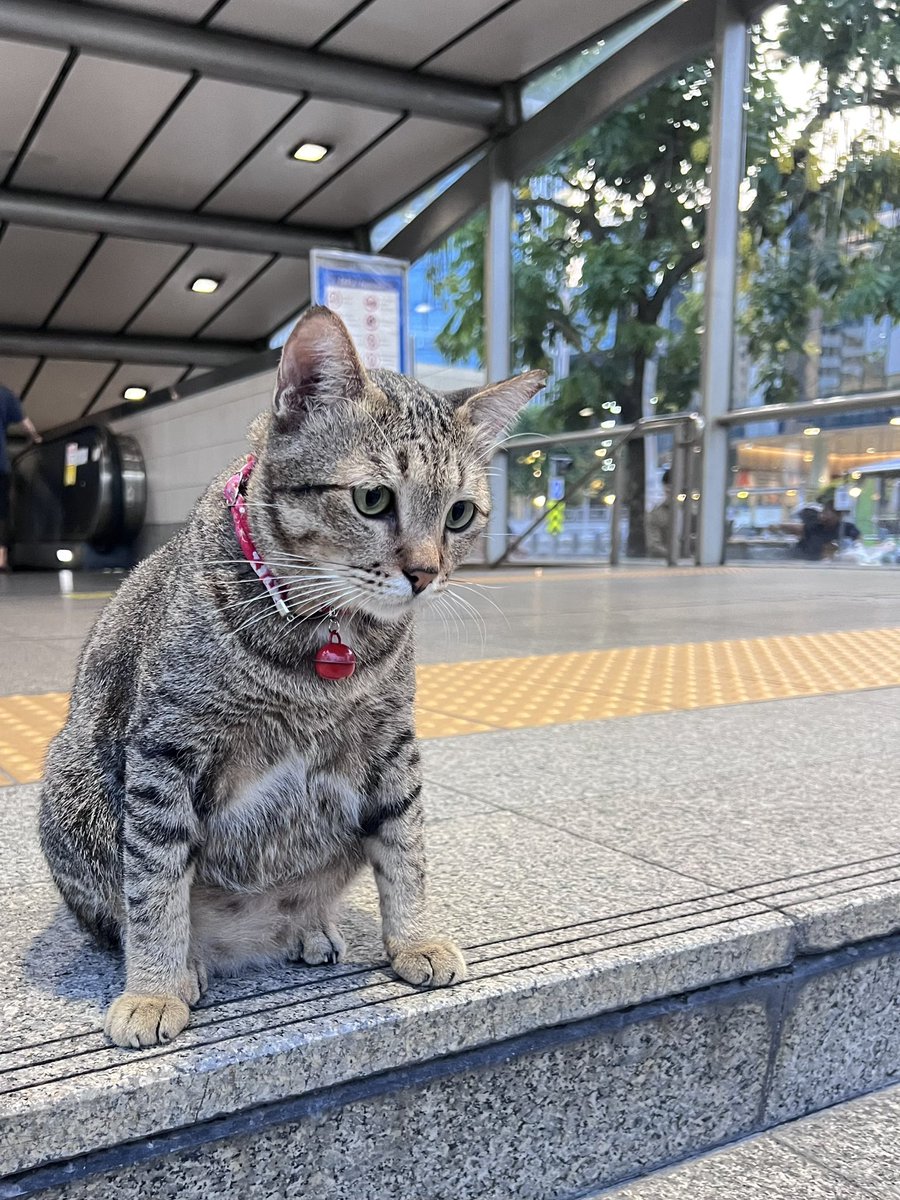 h어ppuchan (slow) tweet media