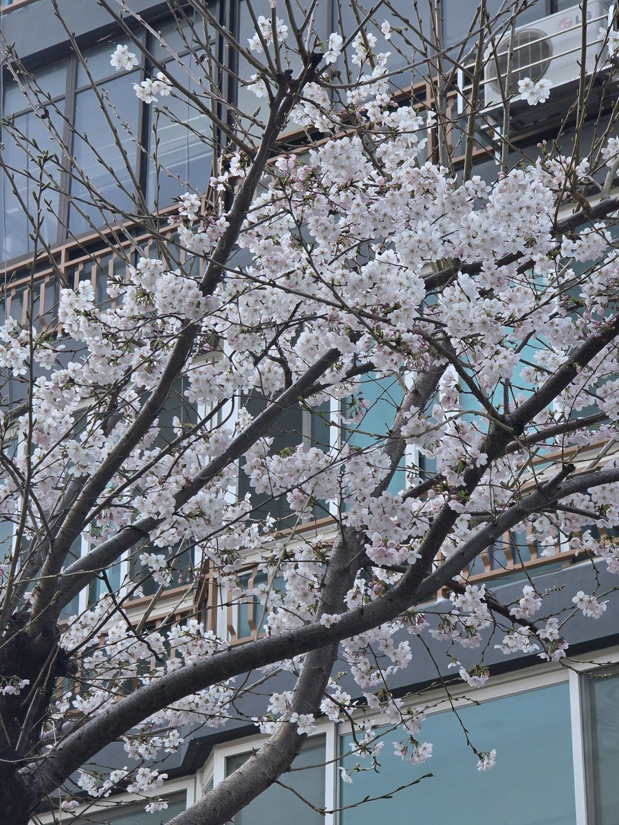 숩더콜리(slow) tweet media