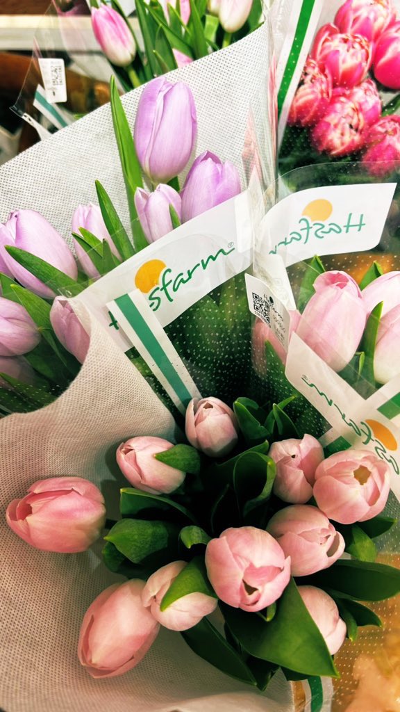 🐾🌧️ tweet media