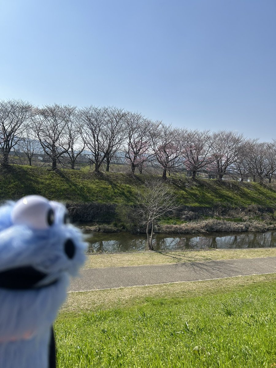 マリィちゃん🦖羽スン໒꒱ tweet media