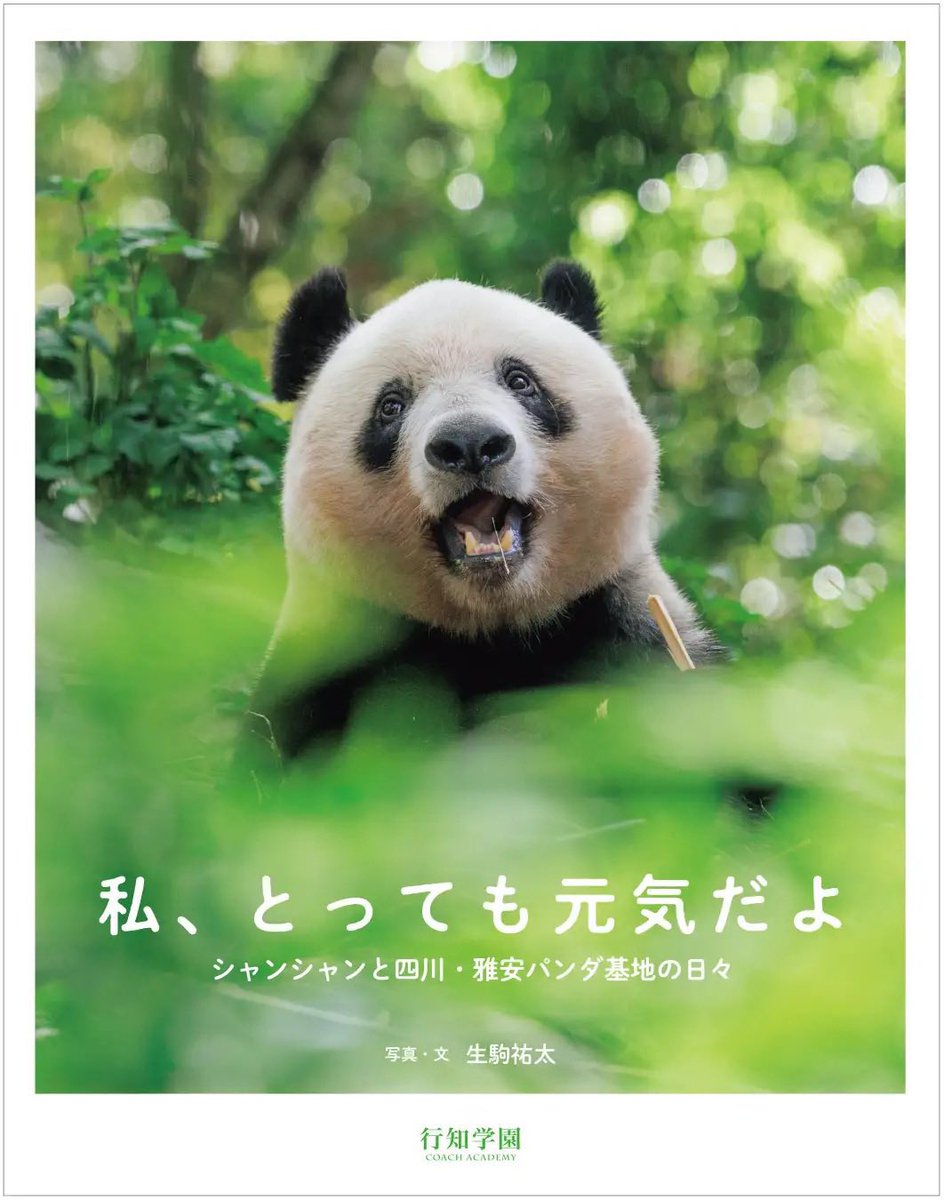 シャンシャン　ポスター　非売品　香香　オリジナルポスター　エキュート　上野 行知学園出版の写真集『私、とっても元気だよ シャンシャンと四川