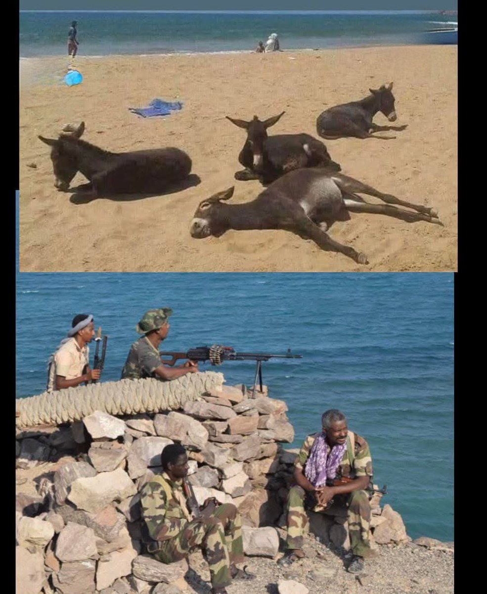 Afiye💙🦅🇬🇧💪 tweet media