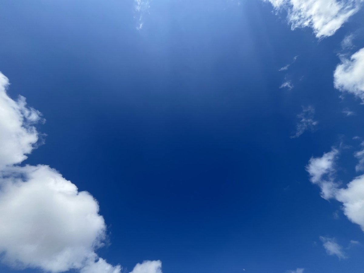 蜜乃木ジル🍯🥀JILL MITSUNOKI tweet media