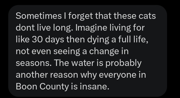 Mewgenics Takes & Confessions tweet media