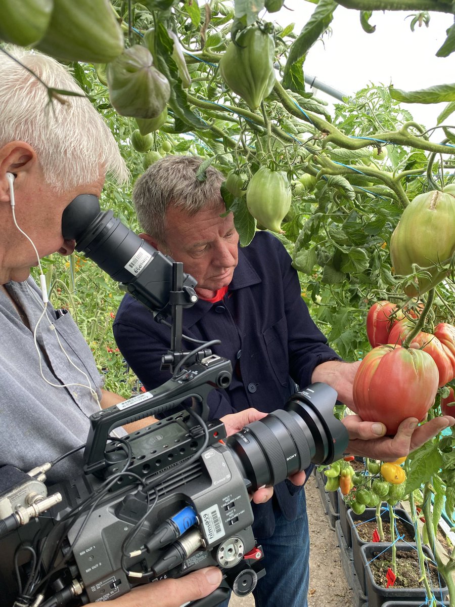 Tomato Revolution Seeds (@TomatoRevoluti1) / Posts / X