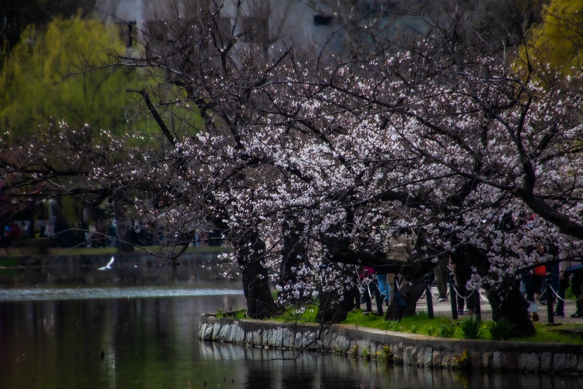 roncan0914 tweet media