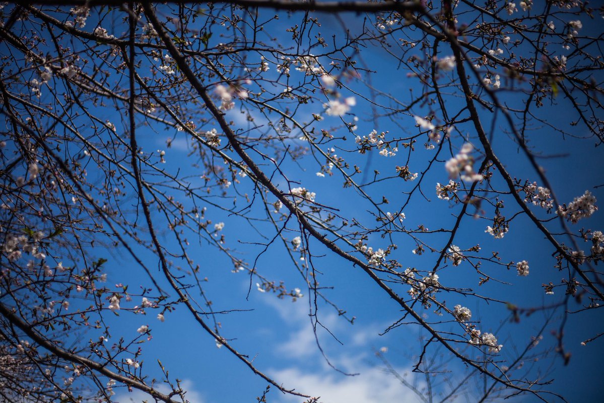 roncan0914 tweet media