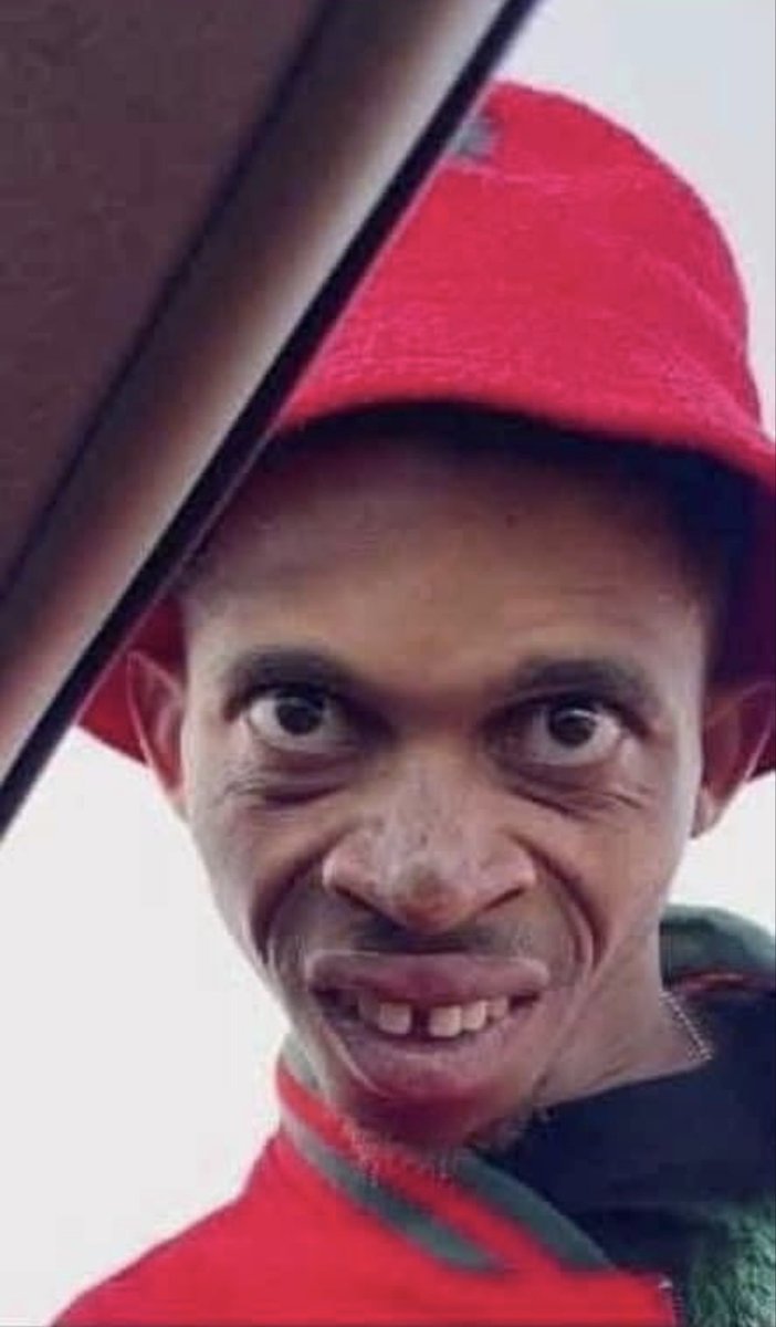 Signal 🌄 tweet media