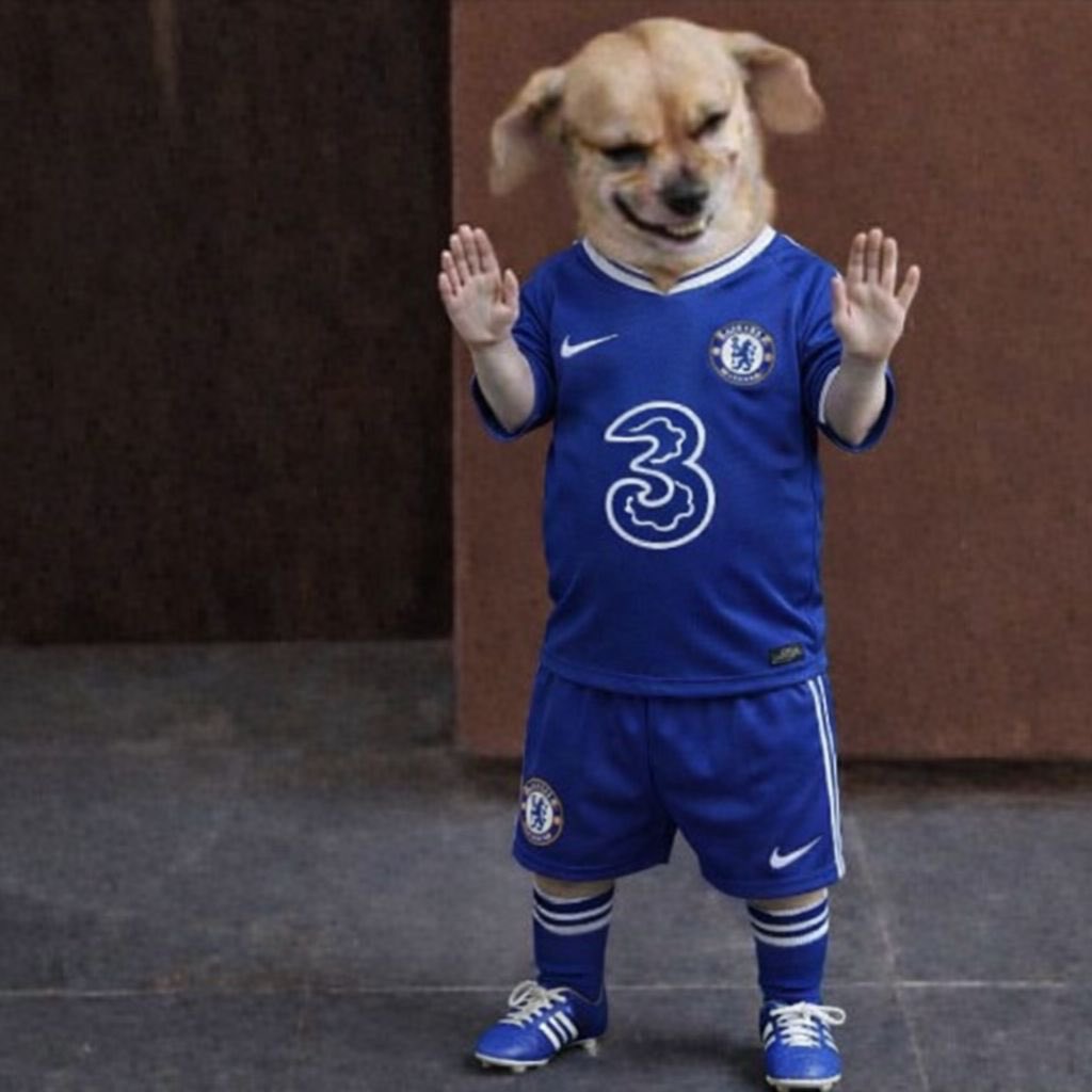 Nemerem cfc tweet media