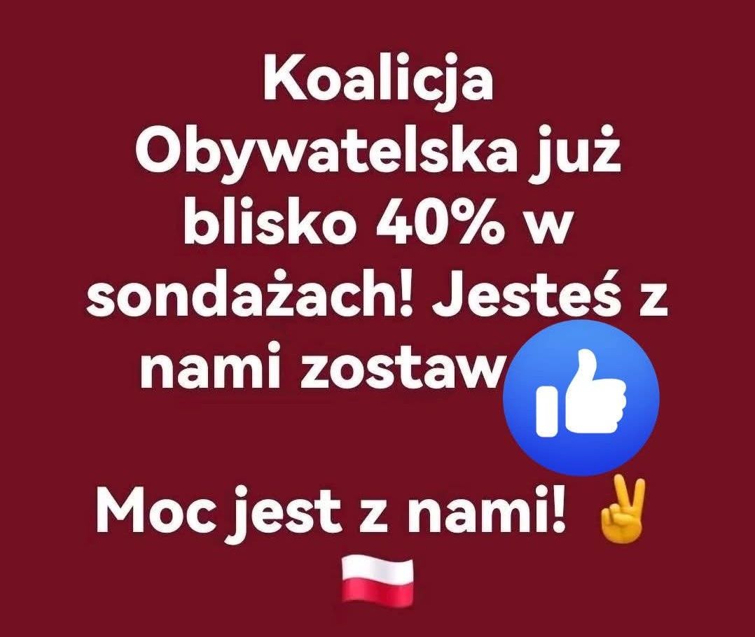 Elżbieta drugie konto od 4 lutego 2026r. tweet media
