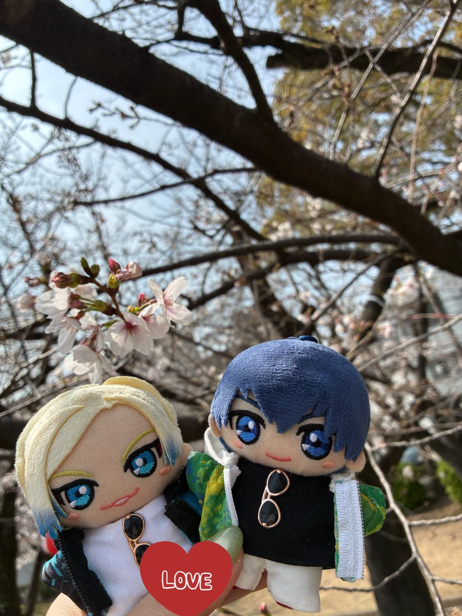 いつき🦔 tweet media