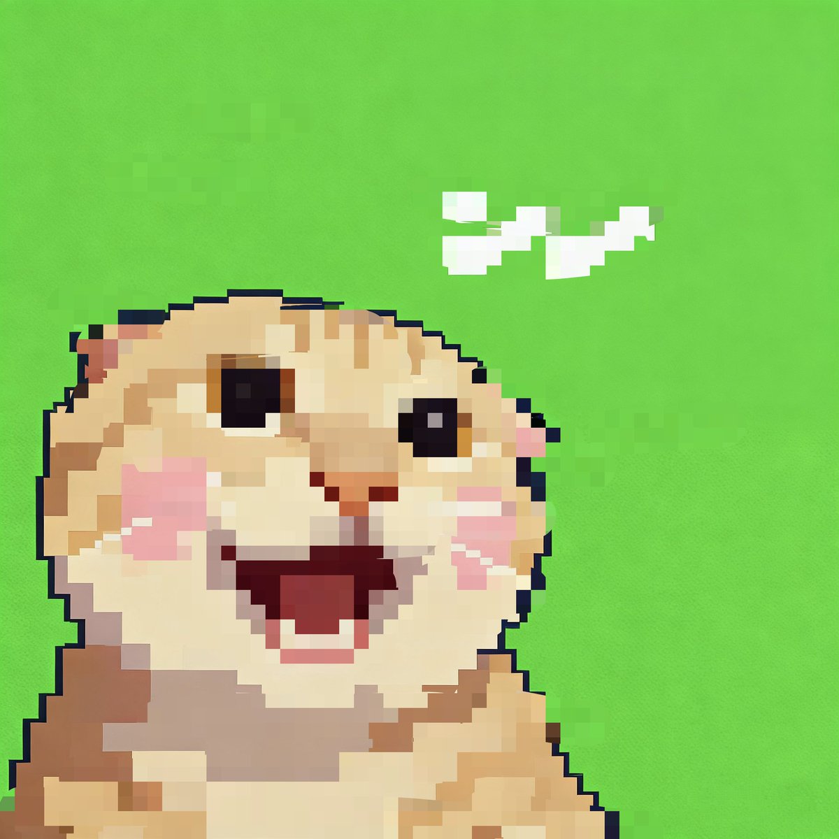 Websea浪所实习生 tweet media