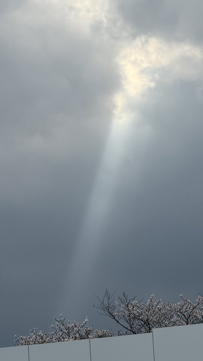 ✨𐊫𐊋𐊡🌟 tweet media