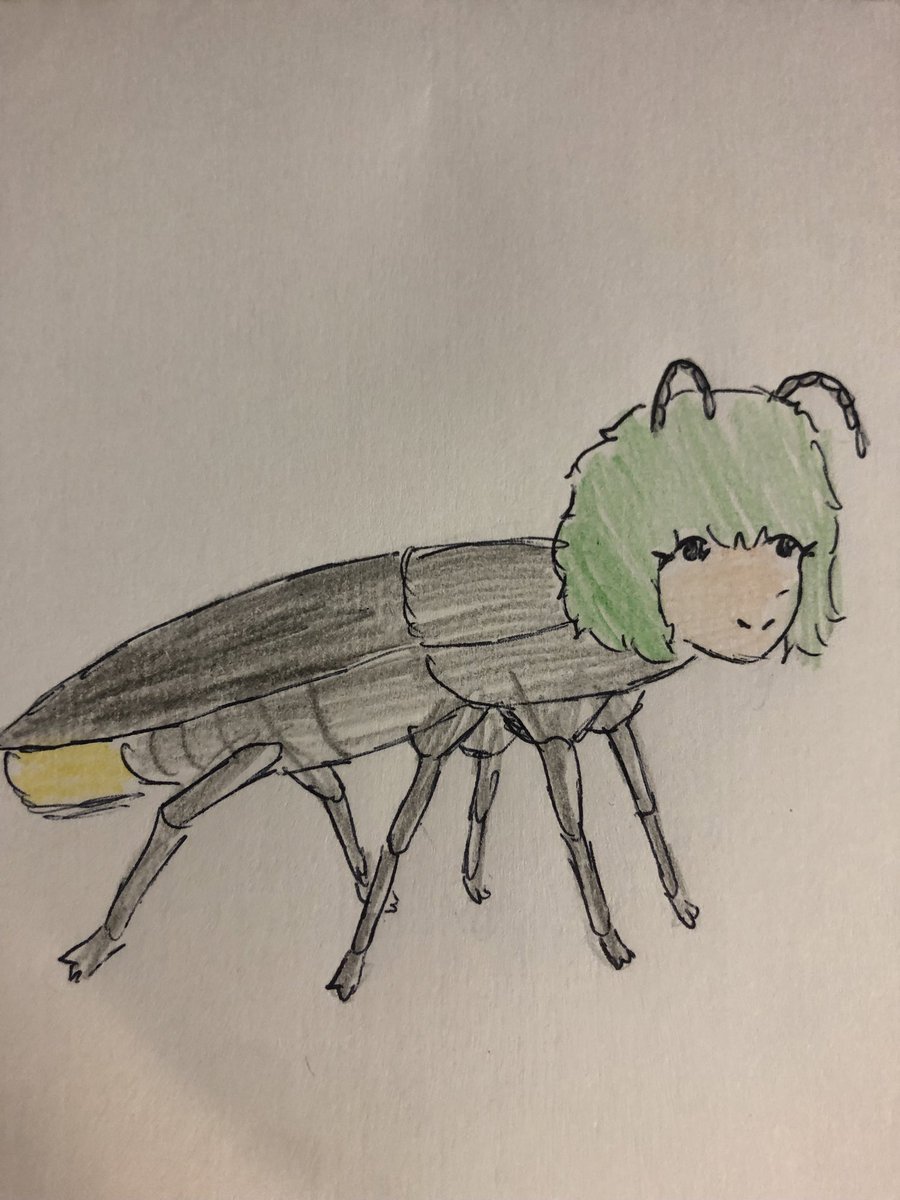 Daily touhounimal tweet media