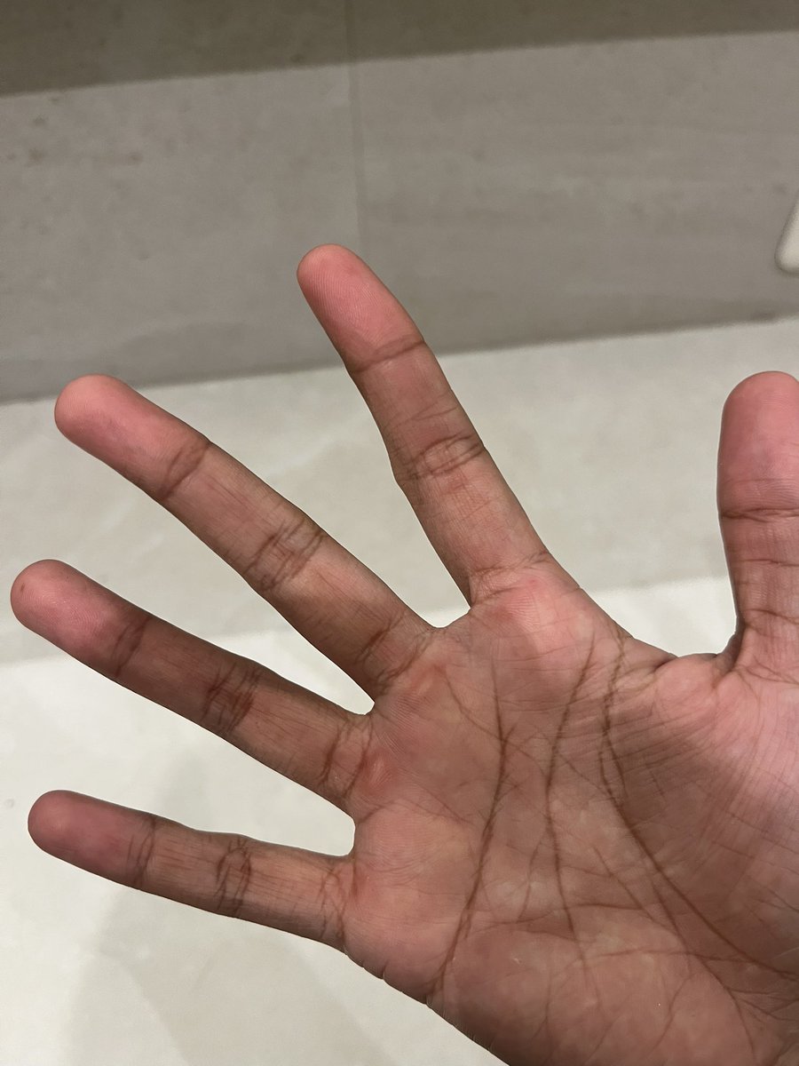 𑣲 bub❗️ tweet media