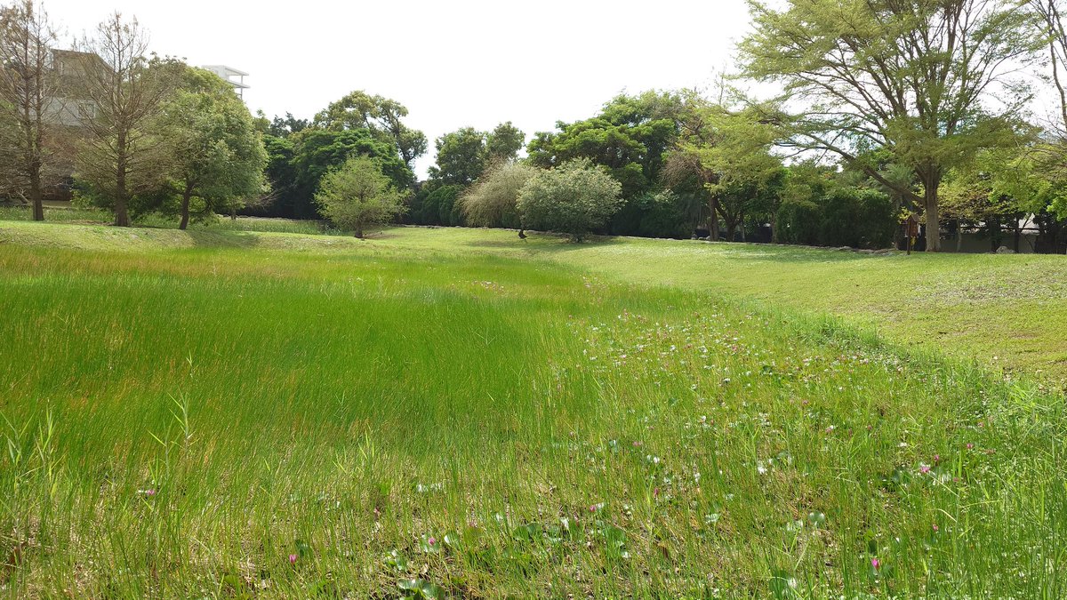 青春NOBUDA tweet media