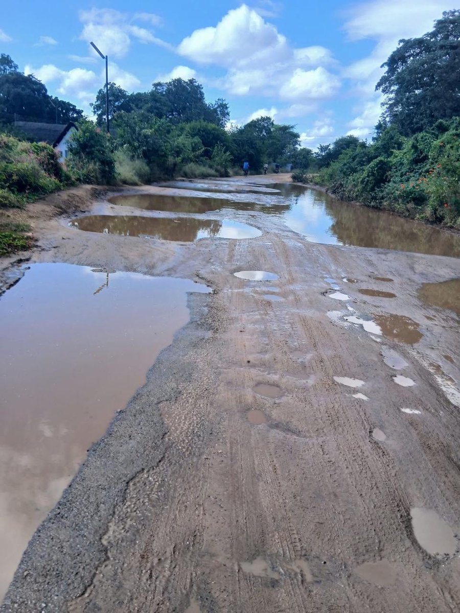 Jacob Ngarivhume tweet media