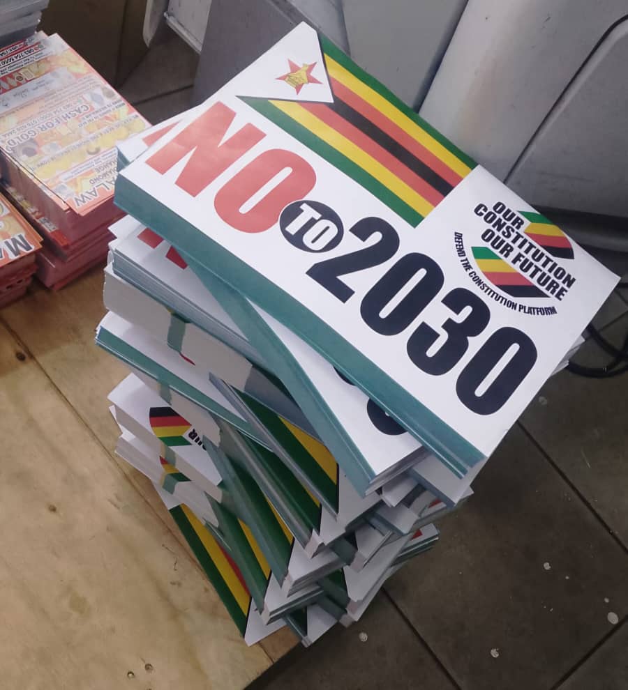 Jacob Ngarivhume tweet media