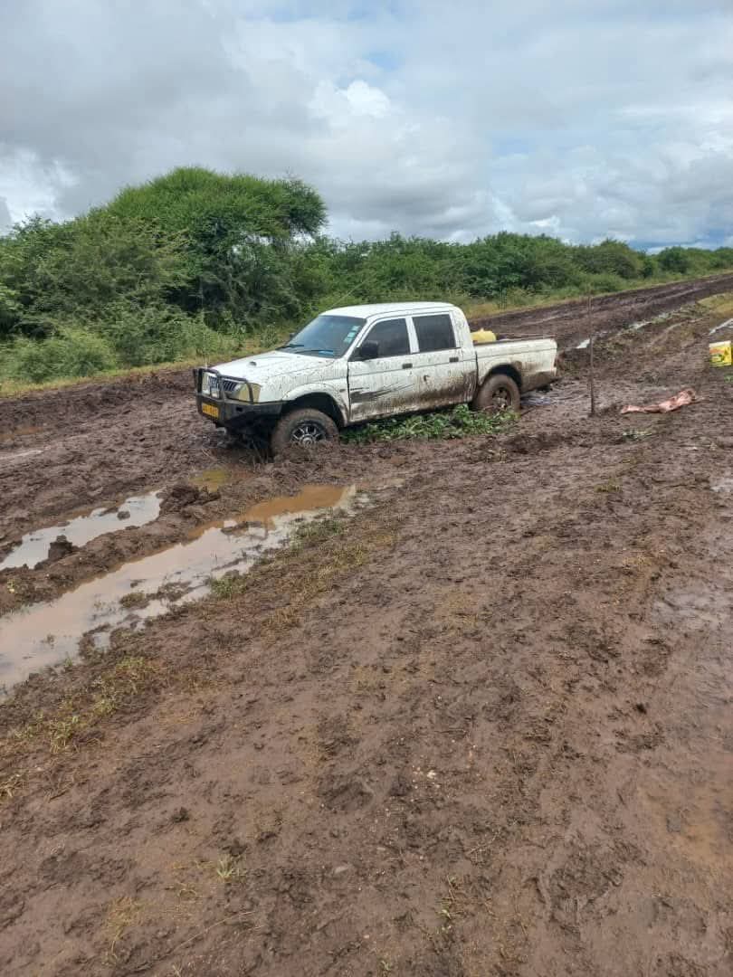 Jacob Ngarivhume tweet media