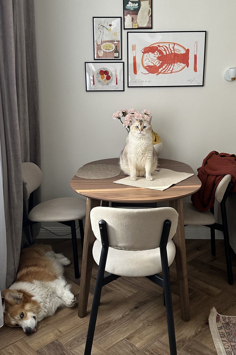 Игорь tweet media