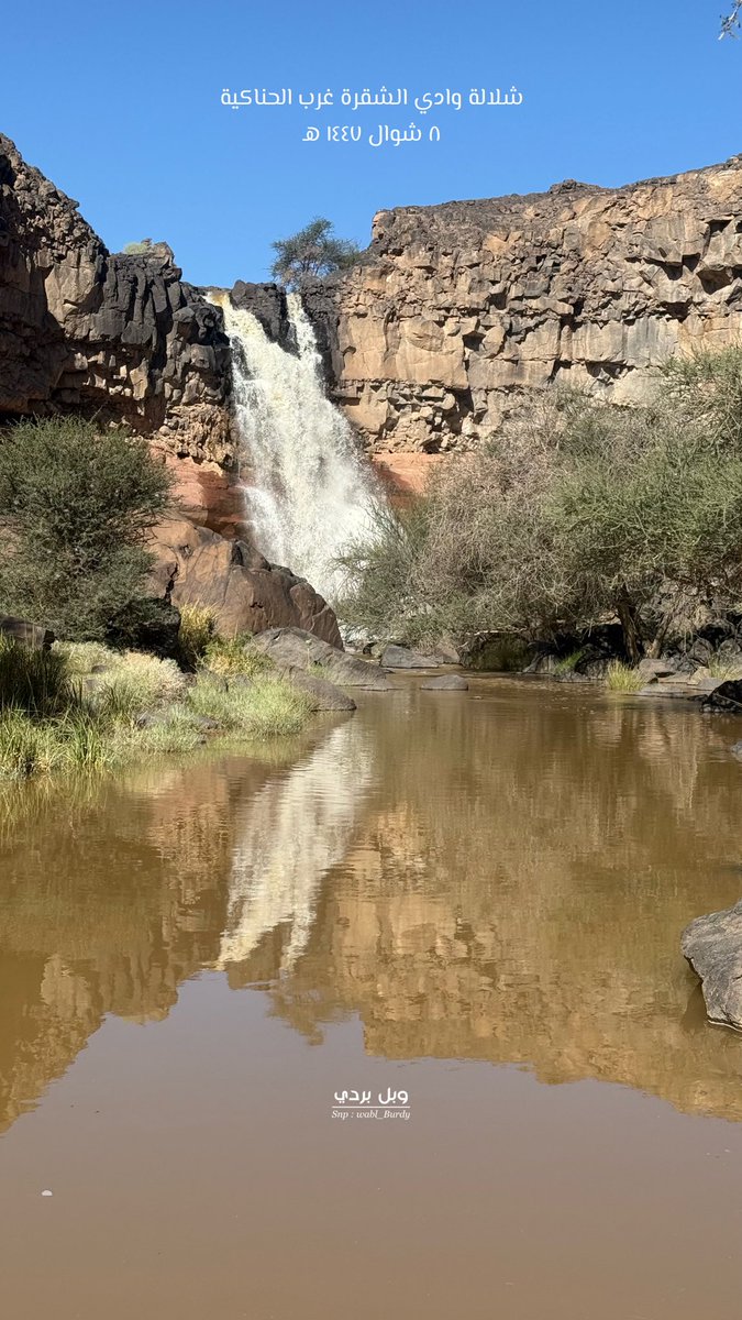 #وبل_بردي tweet media