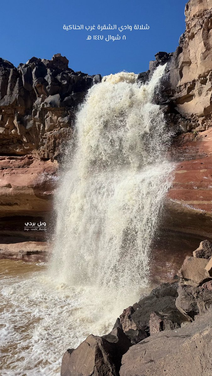 #وبل_بردي tweet media