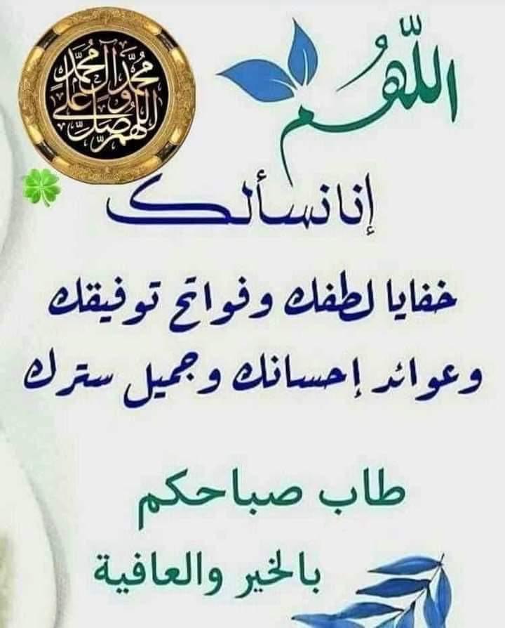 سعيد بن عبدالله بن عامر السعيدي tweet media