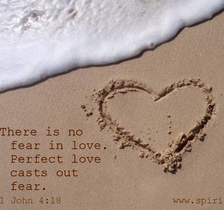 Carole ✝️🇬🇧🏴🙏 tweet media