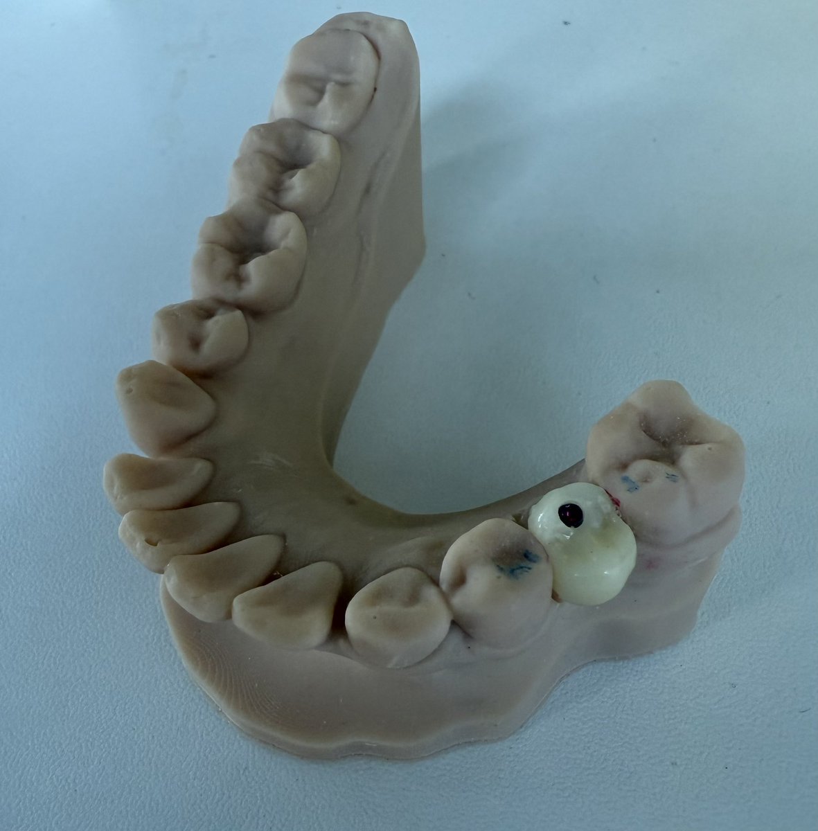 Dr Branice Munyasa tweet media