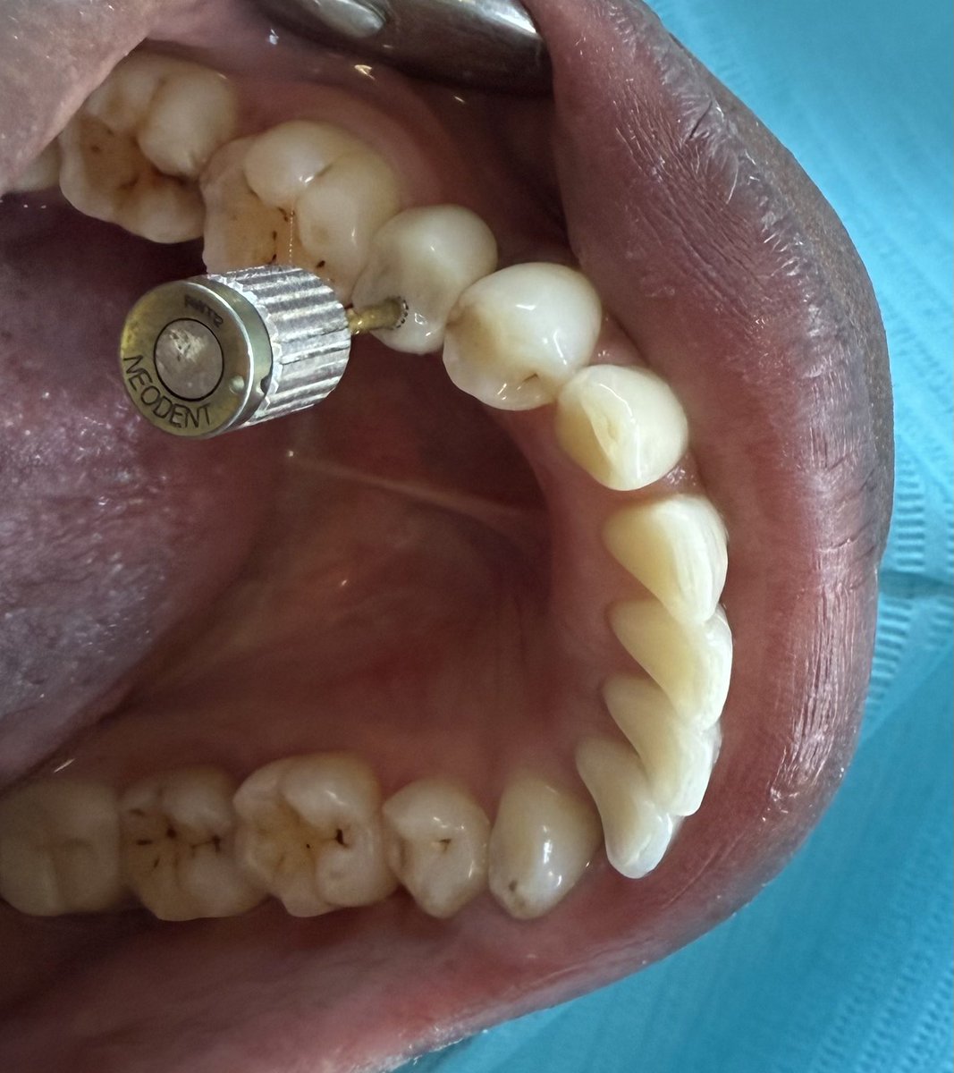 Dr Branice Munyasa tweet media