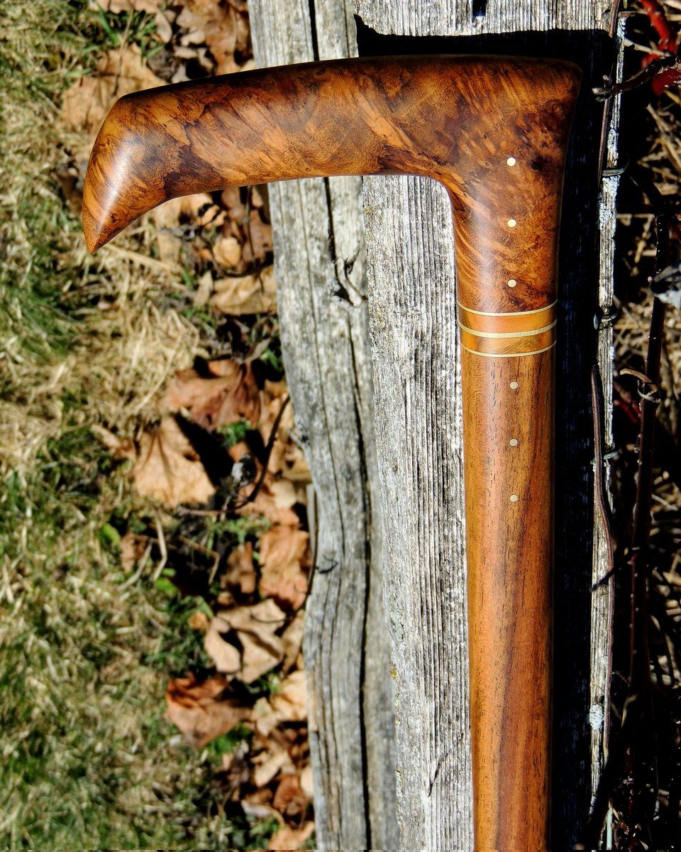 Mark Dwyer tweet media