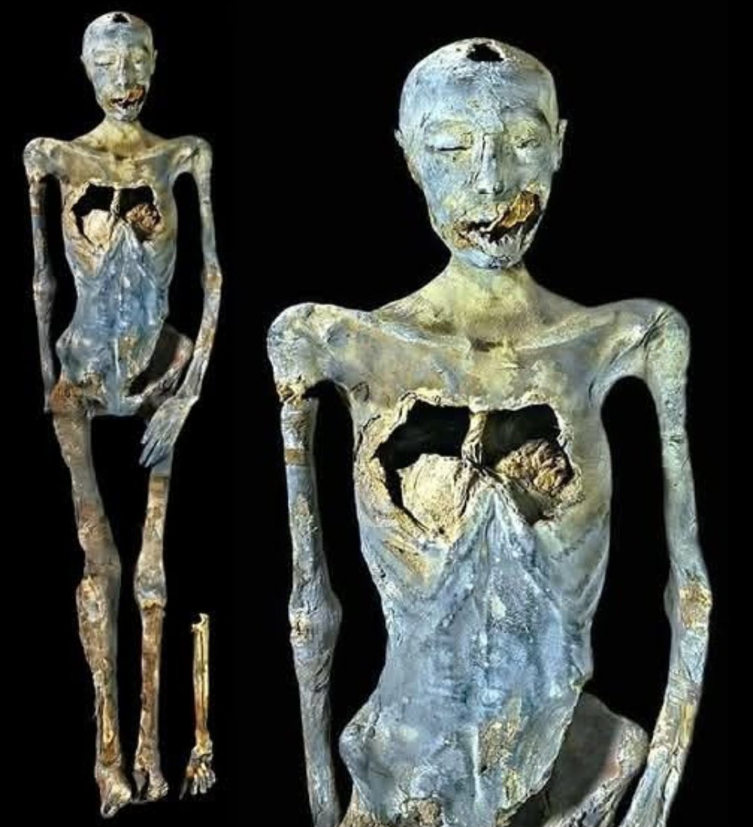 Archaeo - Histories tweet media