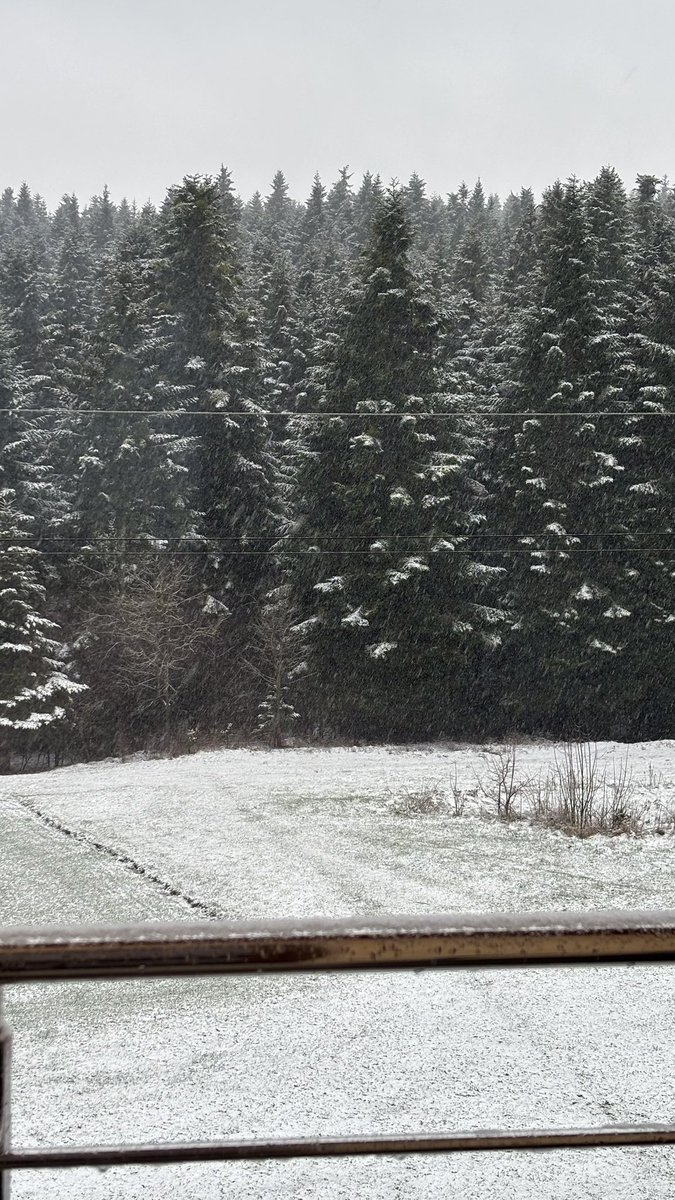 Imaghosta | ❤️‍🔥💃 tweet media