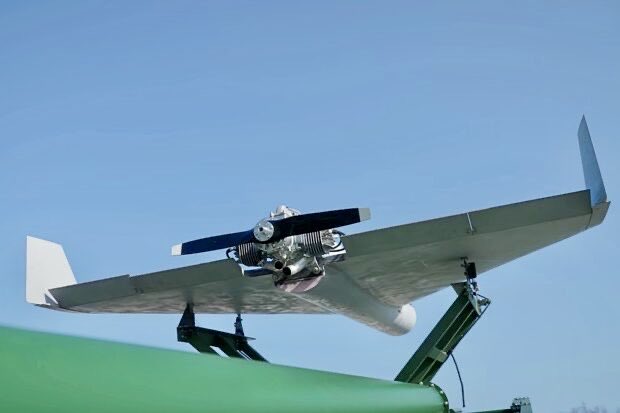 Roy🇨🇦 tweet media