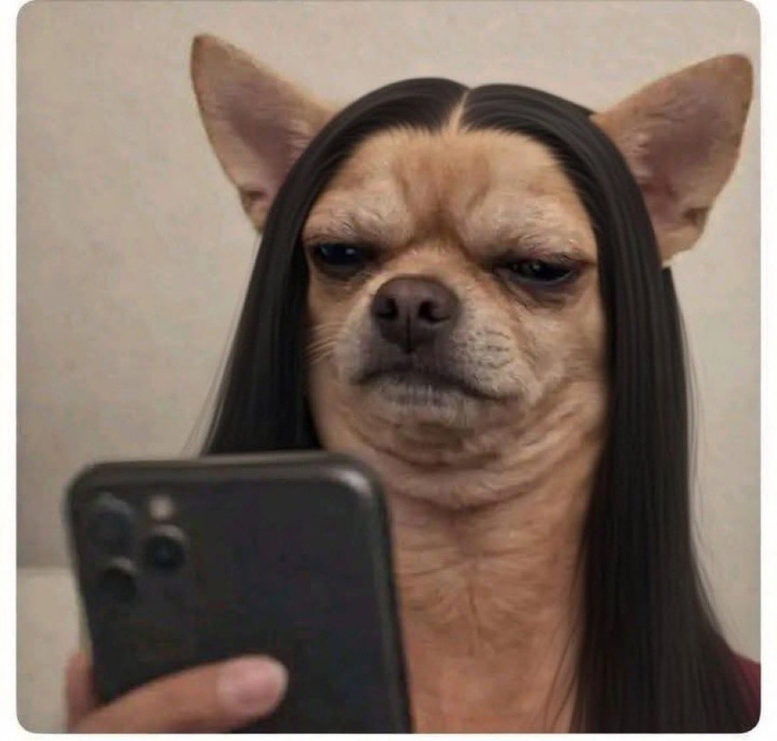 TREASURE🤍 tweet media