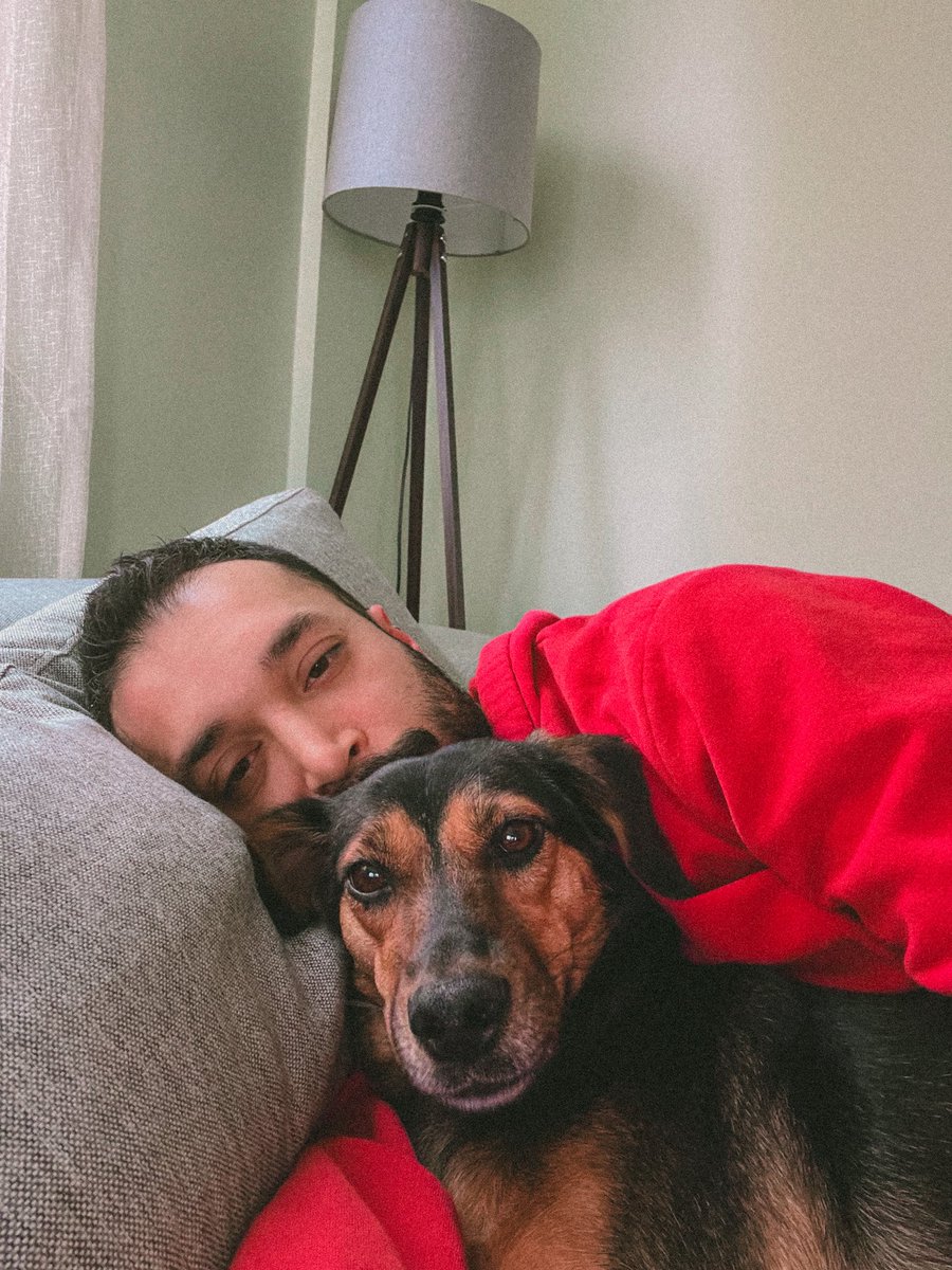 'BNE🏳️‍🌈 tweet media