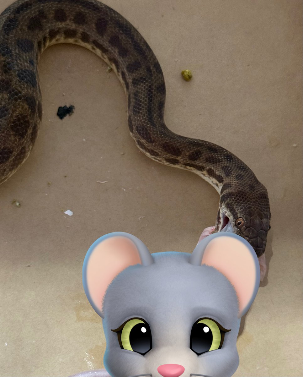 りょう tweet media