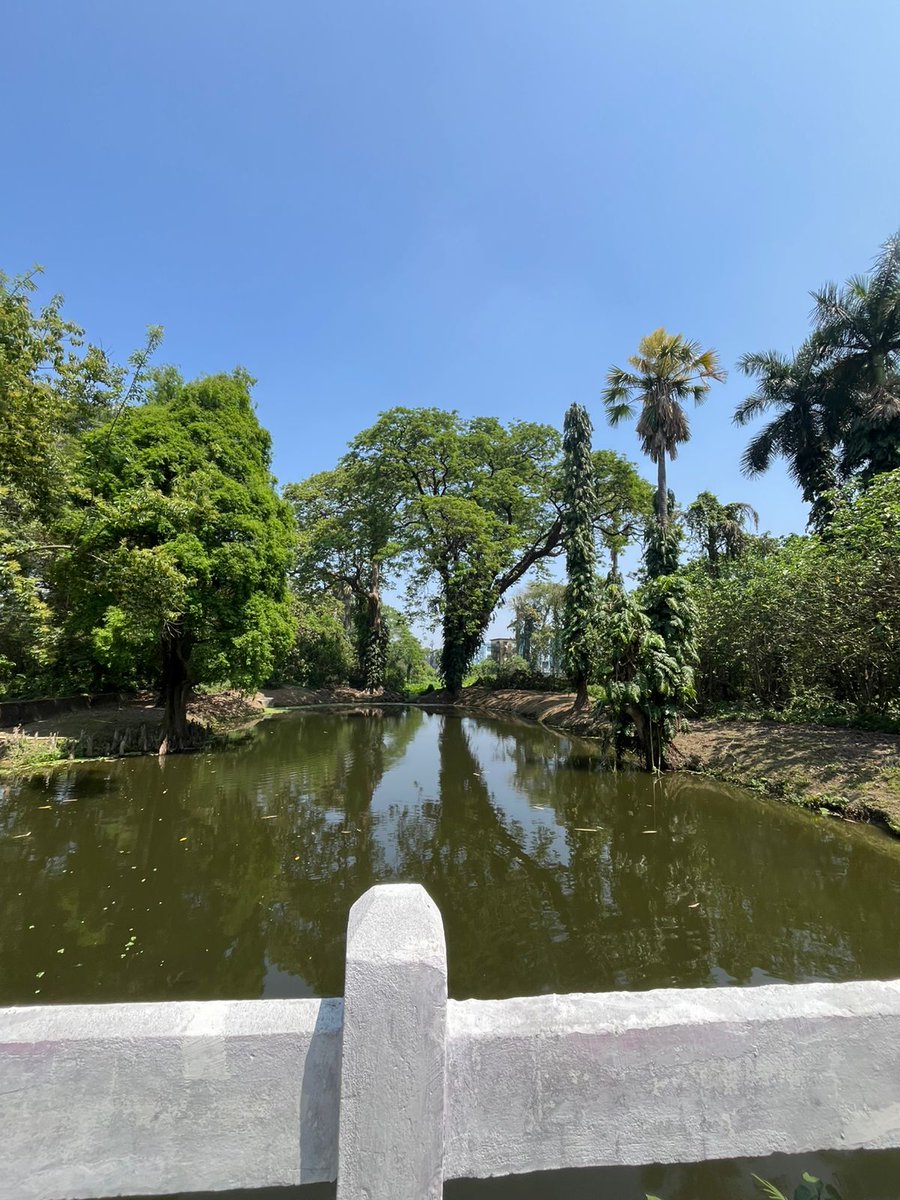 بنتِ احمد tweet media