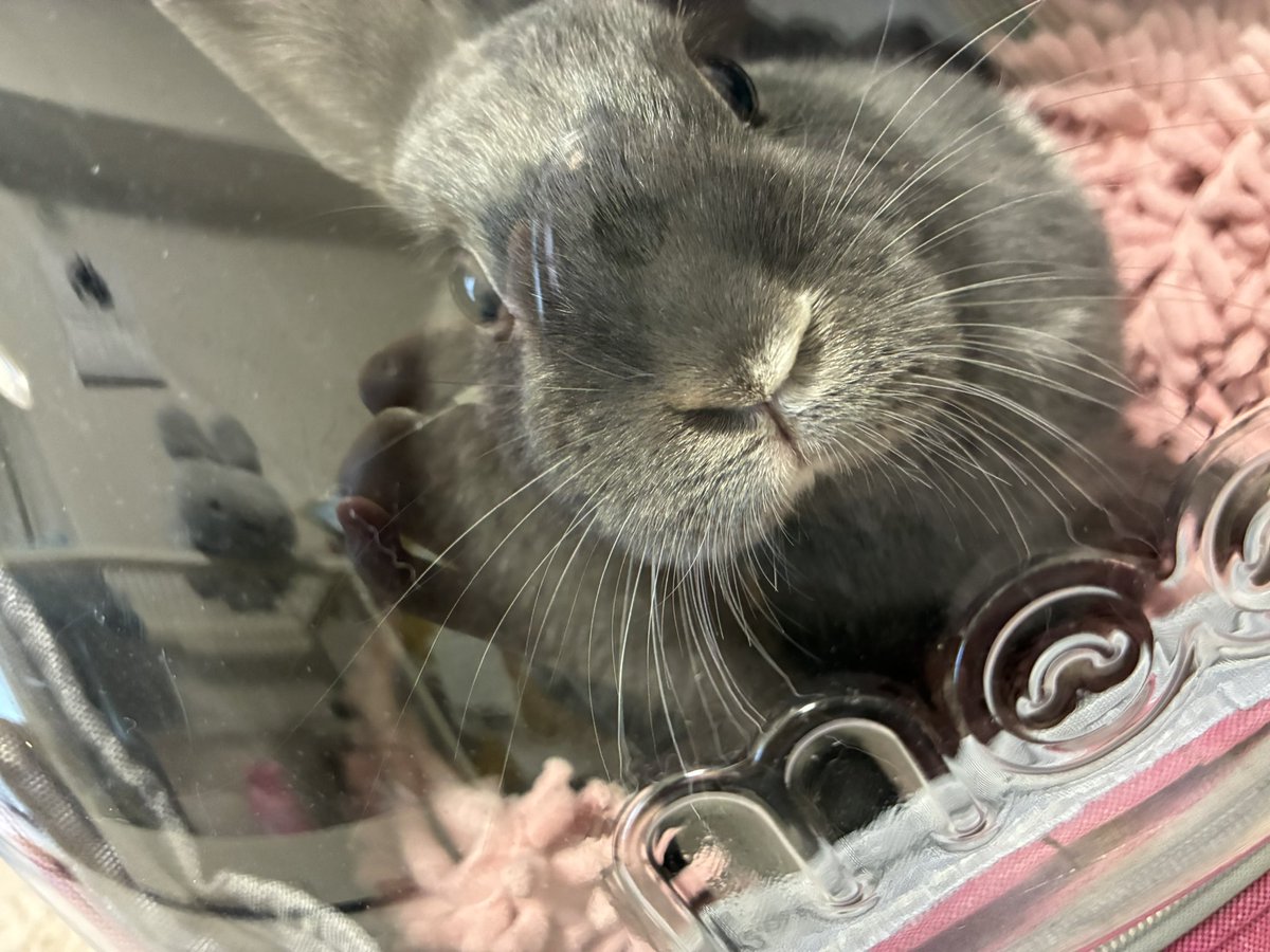 あここ tweet media