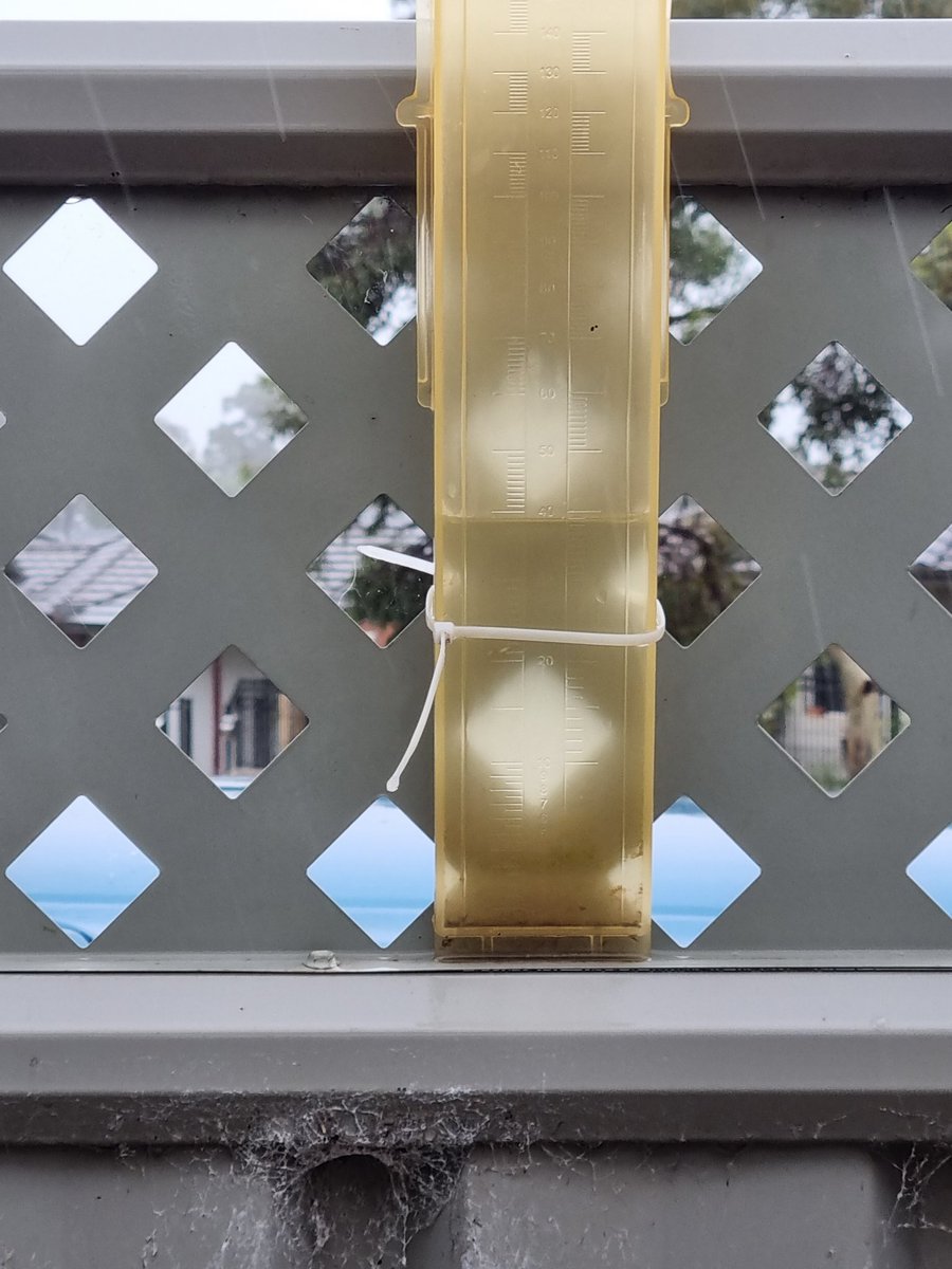 Dale Pilling (Him, He, good bloke mate) ⚓️💜⚓️💜 tweet media