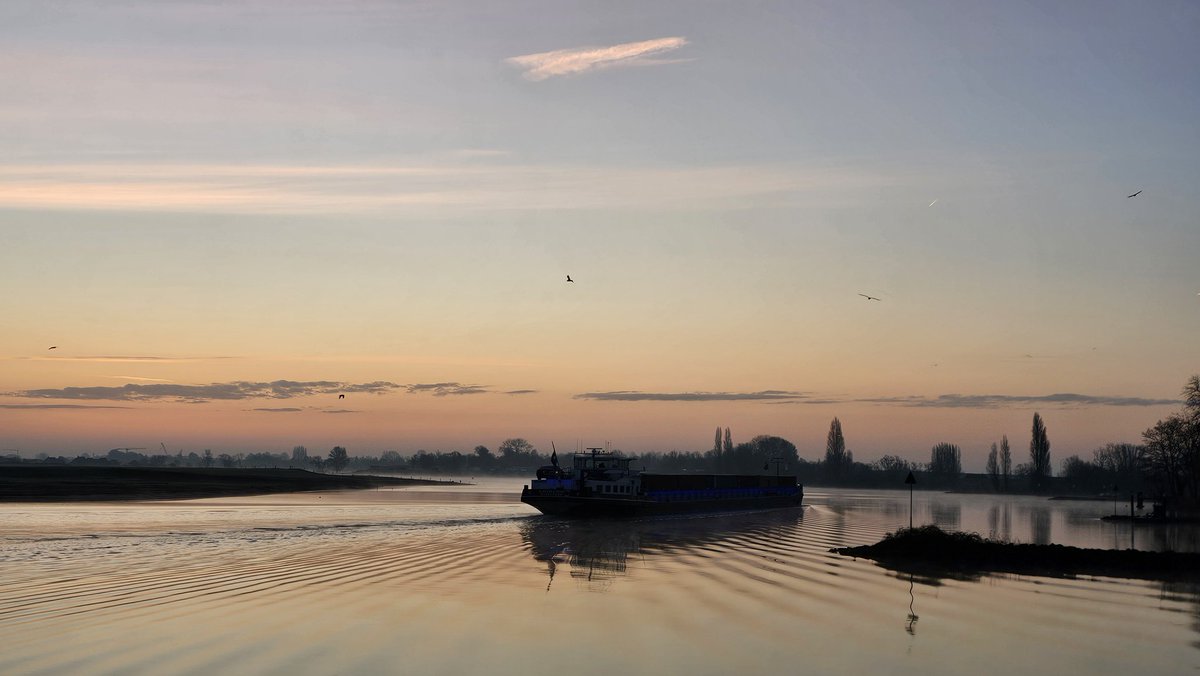 Motormiss's tweet image. Een koude en heiige start van de dag, maar prachtig! Mijn winterjas en handschoenen waren echt nog nodig ❄️ Motorschip Lavorando voer langs en zonder @GeurtRoekel zijn er 2 kranen nodig om de zon op te hijsen zoals je ziet 😉
#Altena #Andel #afgedamdemaas #zonsopgang