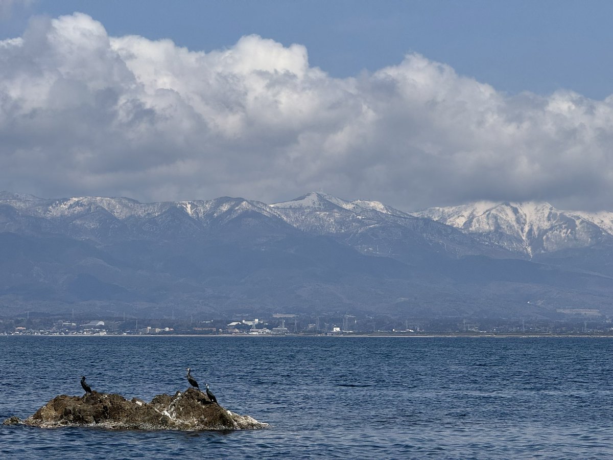 FUNA⚡︎ tweet media