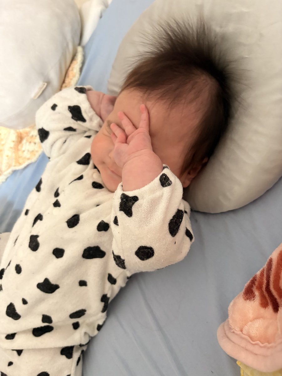 くどみ(みそ) tweet media