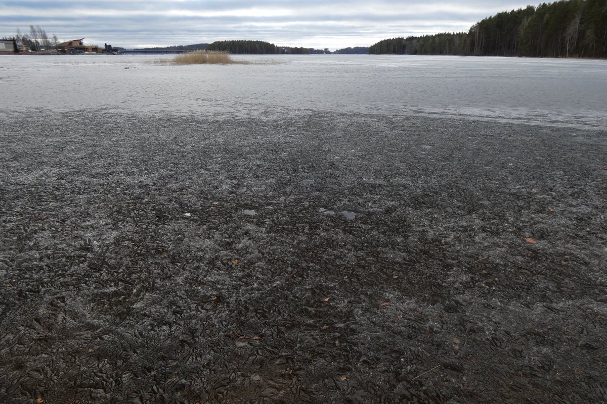 Patrick Hublin tweet media