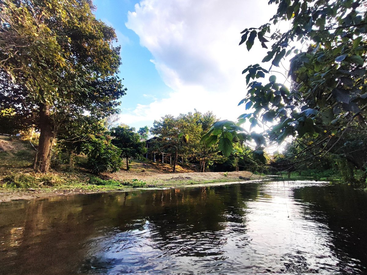 ผู้หญิงเทาๆ tweet media