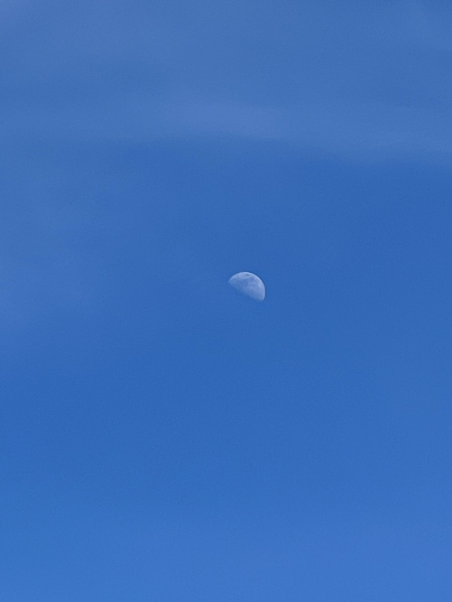 🇫🇷ㄹㄹ • アダム 🇩🇪 𝕏 • 𓂀𓆃𓆗𓃭𓆗☽𖤓༄ tweet media